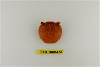 藏品(細紋方蟹)的圖片